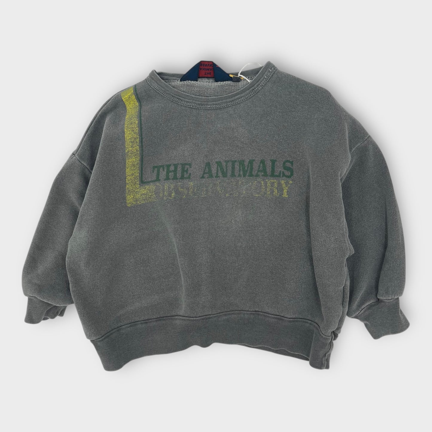 The Animals Observatory - Sweater - 2 years old - (Good condition)