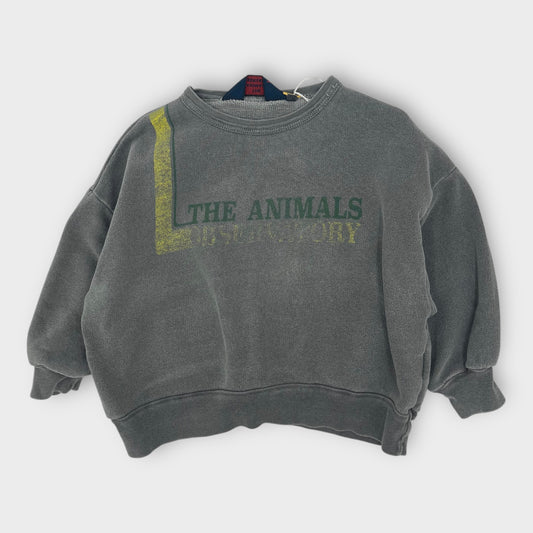 The Animals Observatory - Pull - 2 ans -  (Bon état)